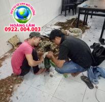 Hút hầm cầu khu công nghiệp tây ninh 0937.162.102