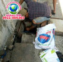 THÔNG CỐNG TIỀN GIANG 0966.803.903